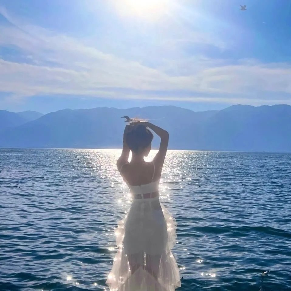 喋血双雄国语 海报